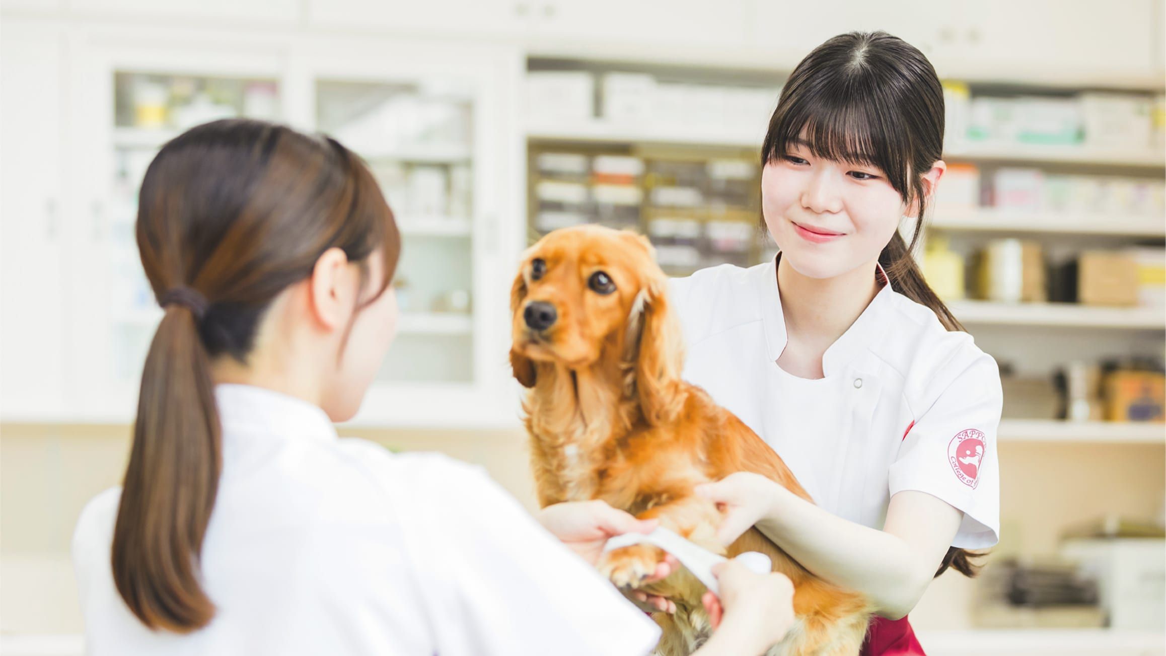 キャンパスライフの画像