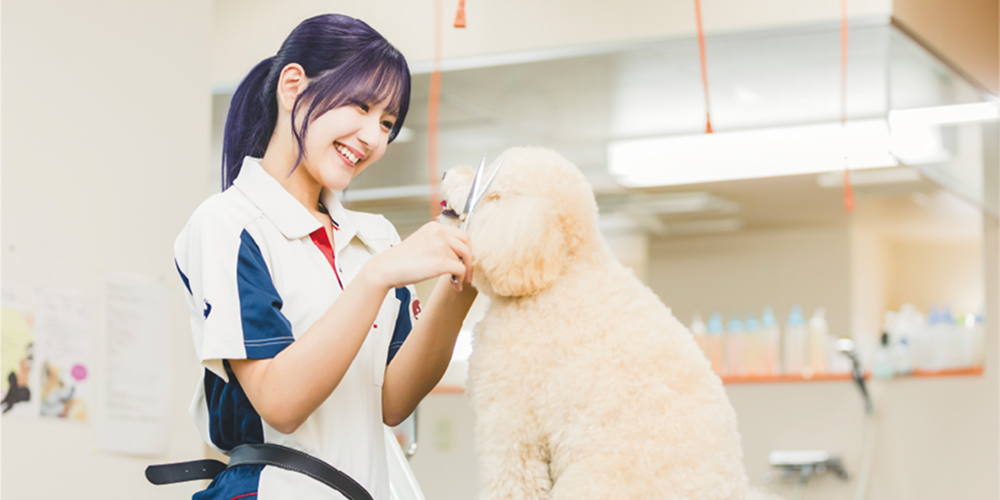 トリミングで上達するのが分かる写真