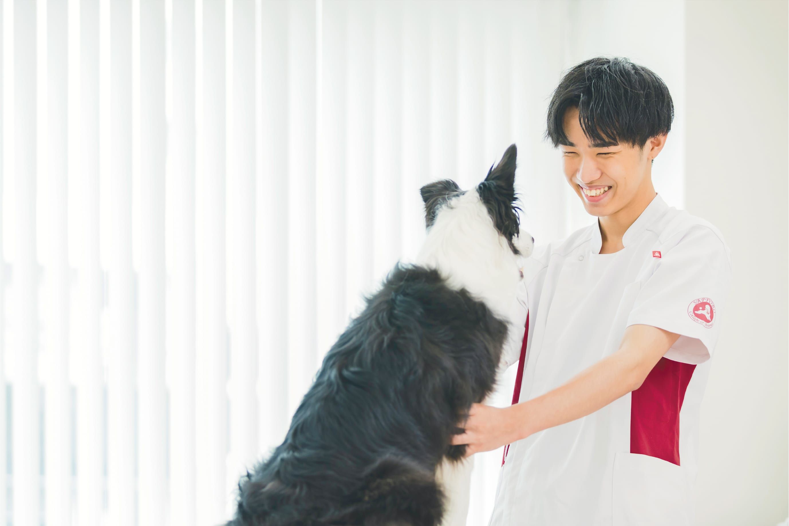 犬の美容学科の授業風景