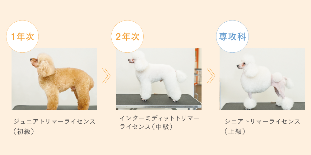 学年次ごとに上達したトリミングの技術がわかる写真