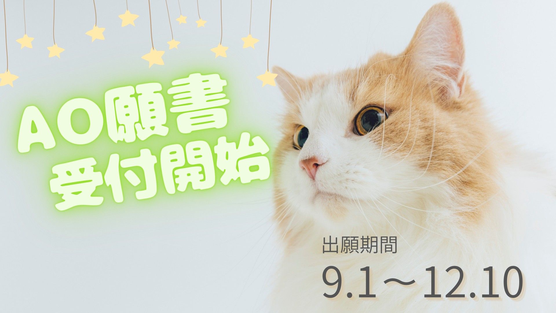 AO出願受付開始