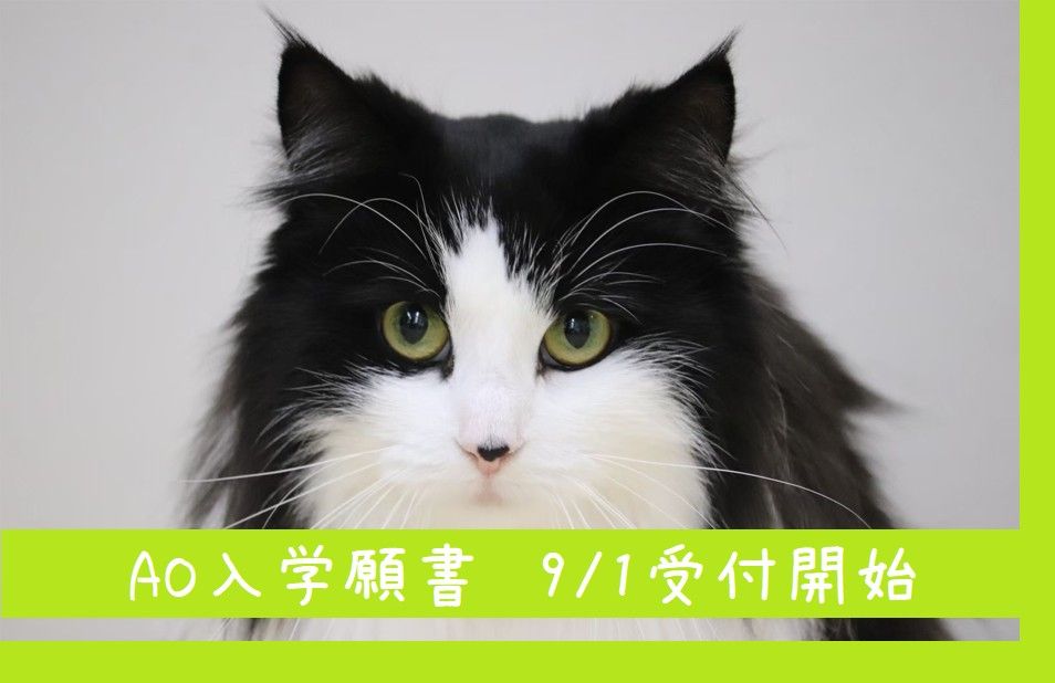 AO入学願書受付開始