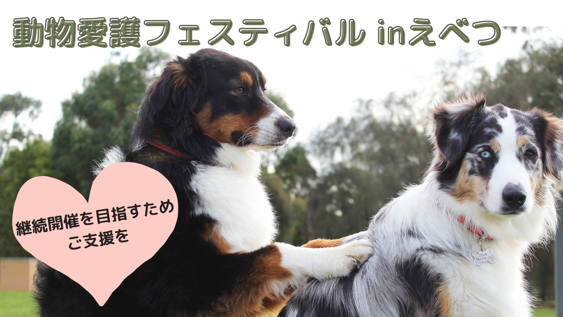 動物愛護フェスティバルinえべつ