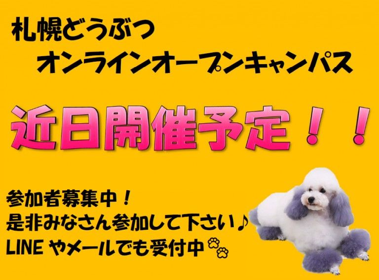 オンラインオープンキャンパス参加方法