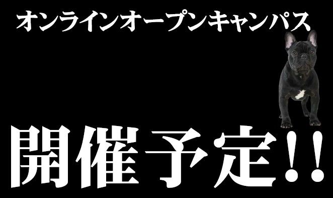オンラインオープンキャンパス開催！！