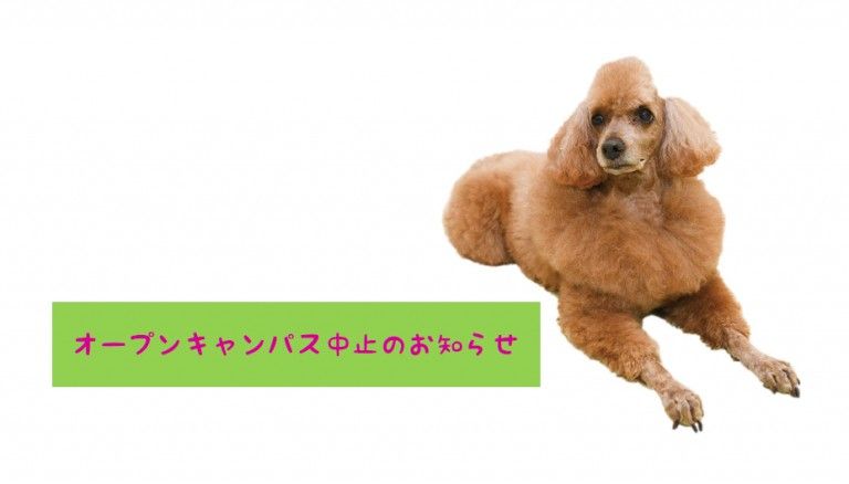 5月16日のオープンキャンパス中止について