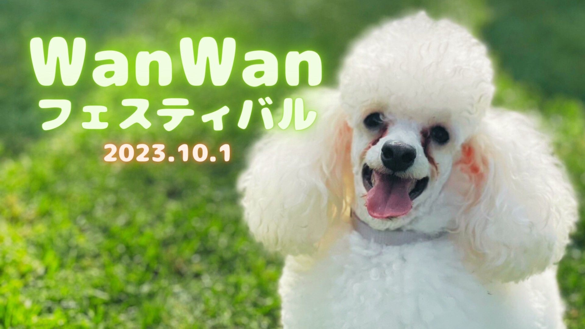 WanWanフェスティバルが開催されました