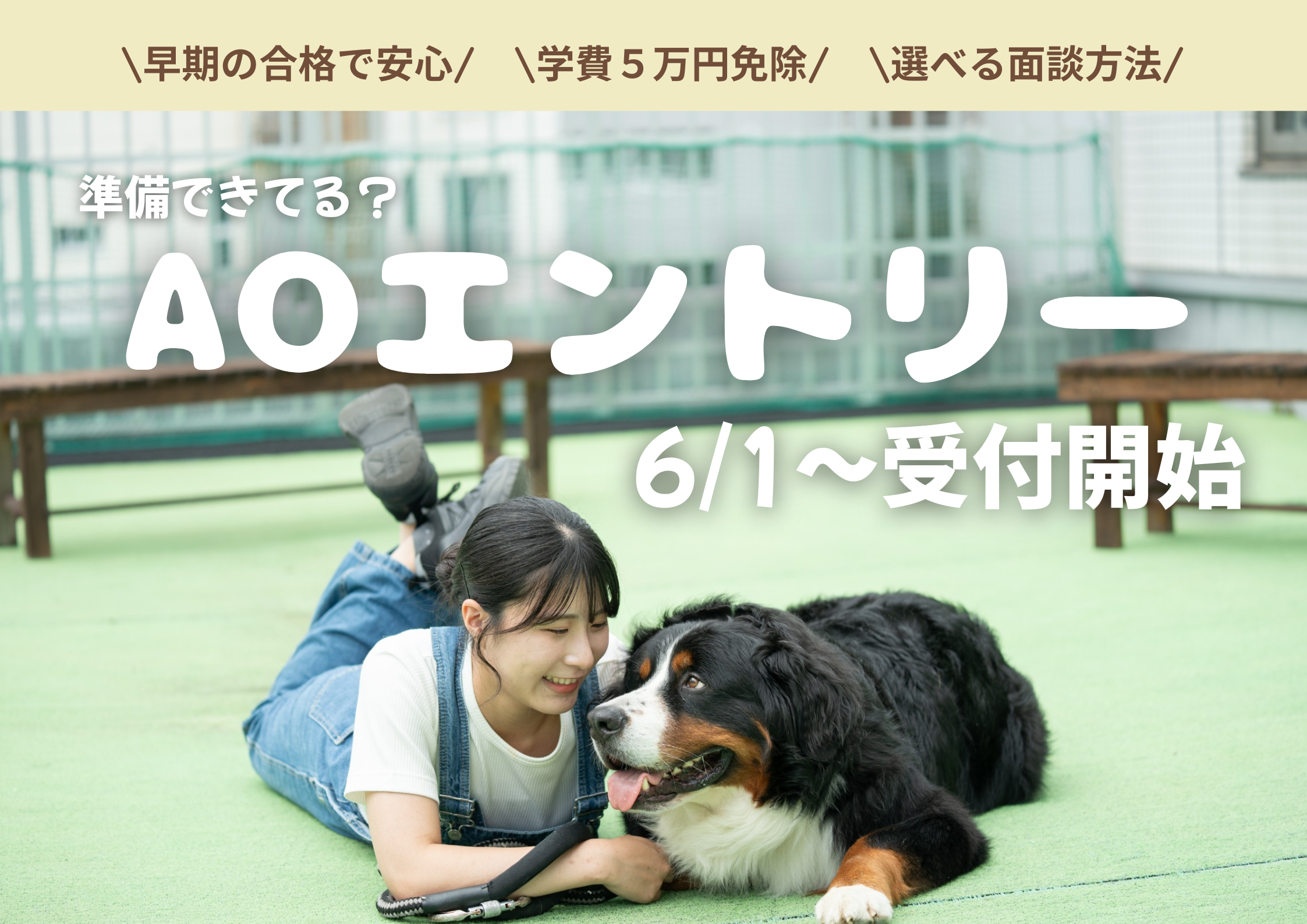 AOエントリー始動！