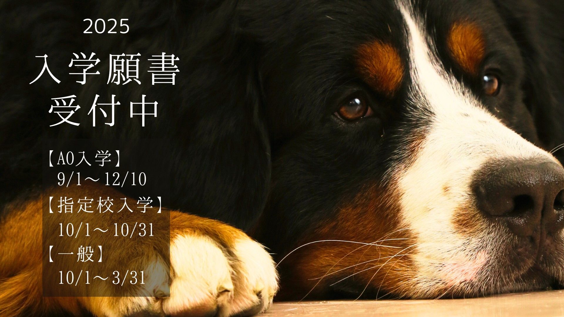 2025年度 入学願書 受付中