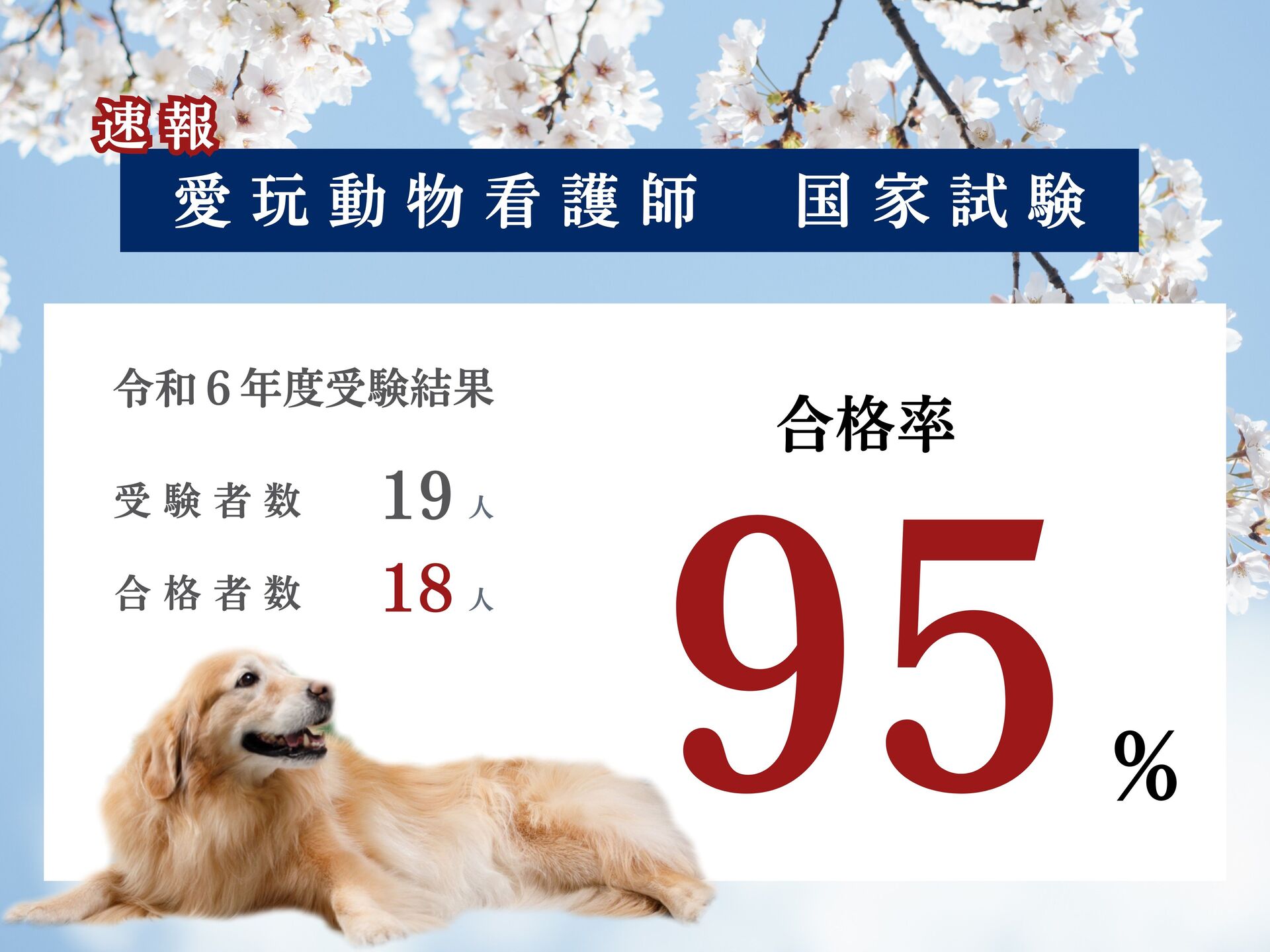 \ 速報 /　令和６年度愛玩動物看護師国家試験 結果