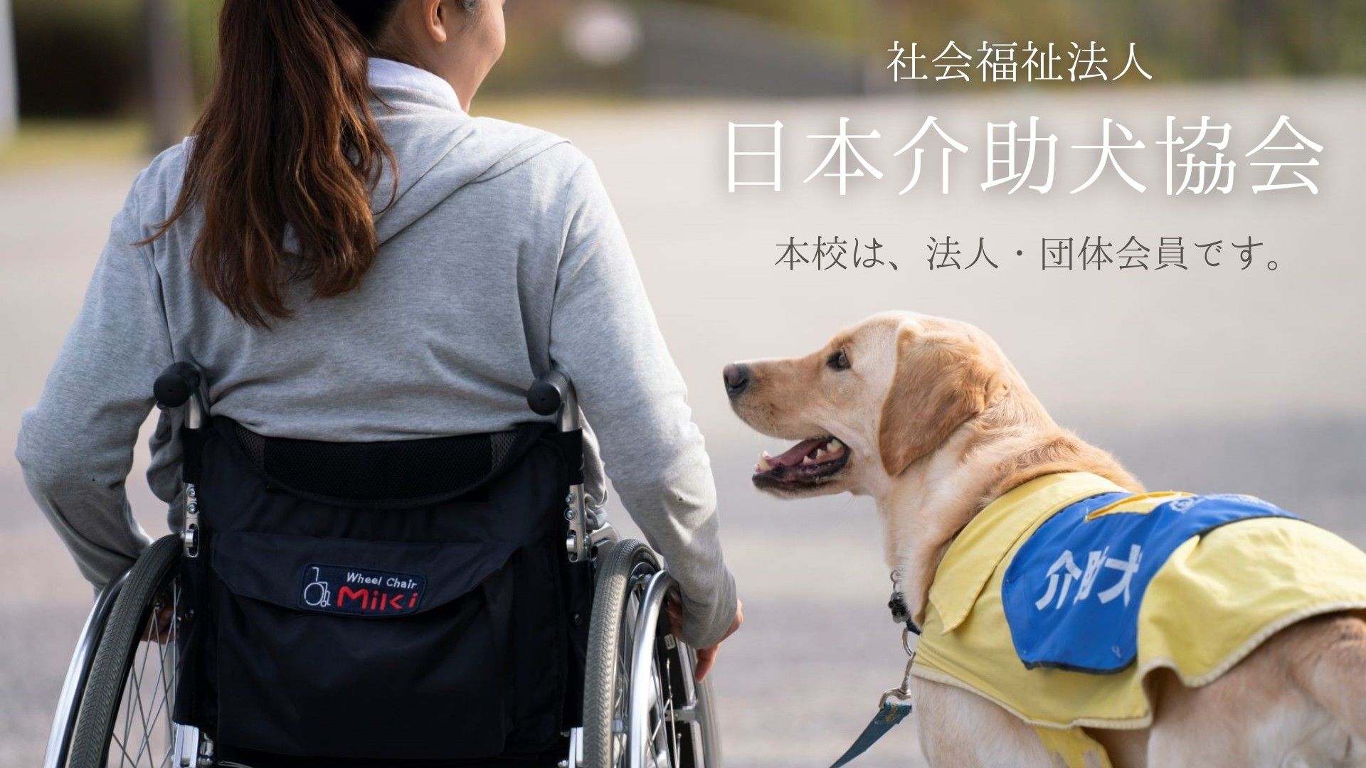 社会福祉法人 日本介助犬協会　法人・団体会員に！